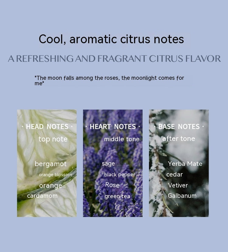 Aromatic Citrus Perfume